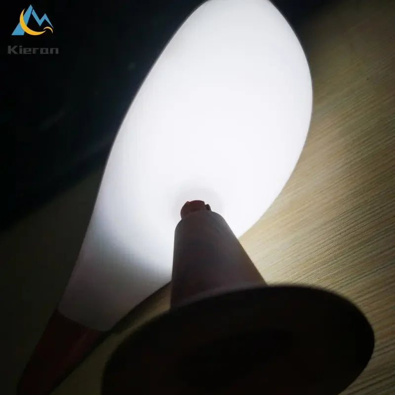 Nordic Modern Magpie LED Desk Light - Image 5